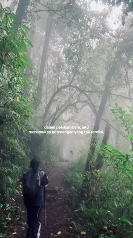pelarian menunggu pengumuman 28 mei, kita semua pasti lolos! #gunung #gunungcatur #pendaki #utbk2025 #utbksnbt #fyp 