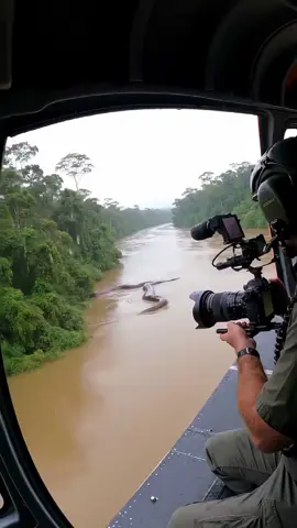 #creatorsearchinsights  Helicopter Crew Spots Monster Anaconda in Amazon River 👀😬#wildlife  #anaconda #snake #river #animal #jungle #giantsnake #nature #helicopter #footage  A film crew flying over the Amazon captured what appears to be one of the largest snakes ever seen in the wild. Was it a giant anaconda ? A prehistoric beast ? Watch this stunning footage and decide for yourself.