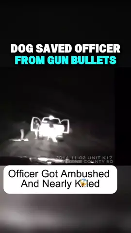 This Dog saved cop from criminal #copsoftiktok #cops 