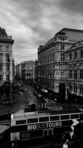 #viennastateopera #fyp #architecture #city #blackandwhite #albertinamuseum 