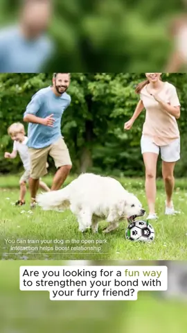 Durable Dog Football Toy with Grab Tabs – Interactive Training & Boredom Relief for Active Pets #DogToysUK#PetLoversUK#DogTrainingTools#BoredomBusterForDogs#TikTokMadeMeBuyIt