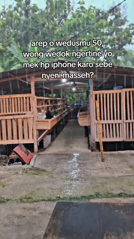🥸🥸#fypシ #sekedarhiburan #peternakkambingindonesia #kambingetawa #kambingboer 