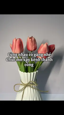 Xây kênh tiktok làm ttlk#xuhuong#viỉalvideo#foryoupage❤️❤️ #jyp