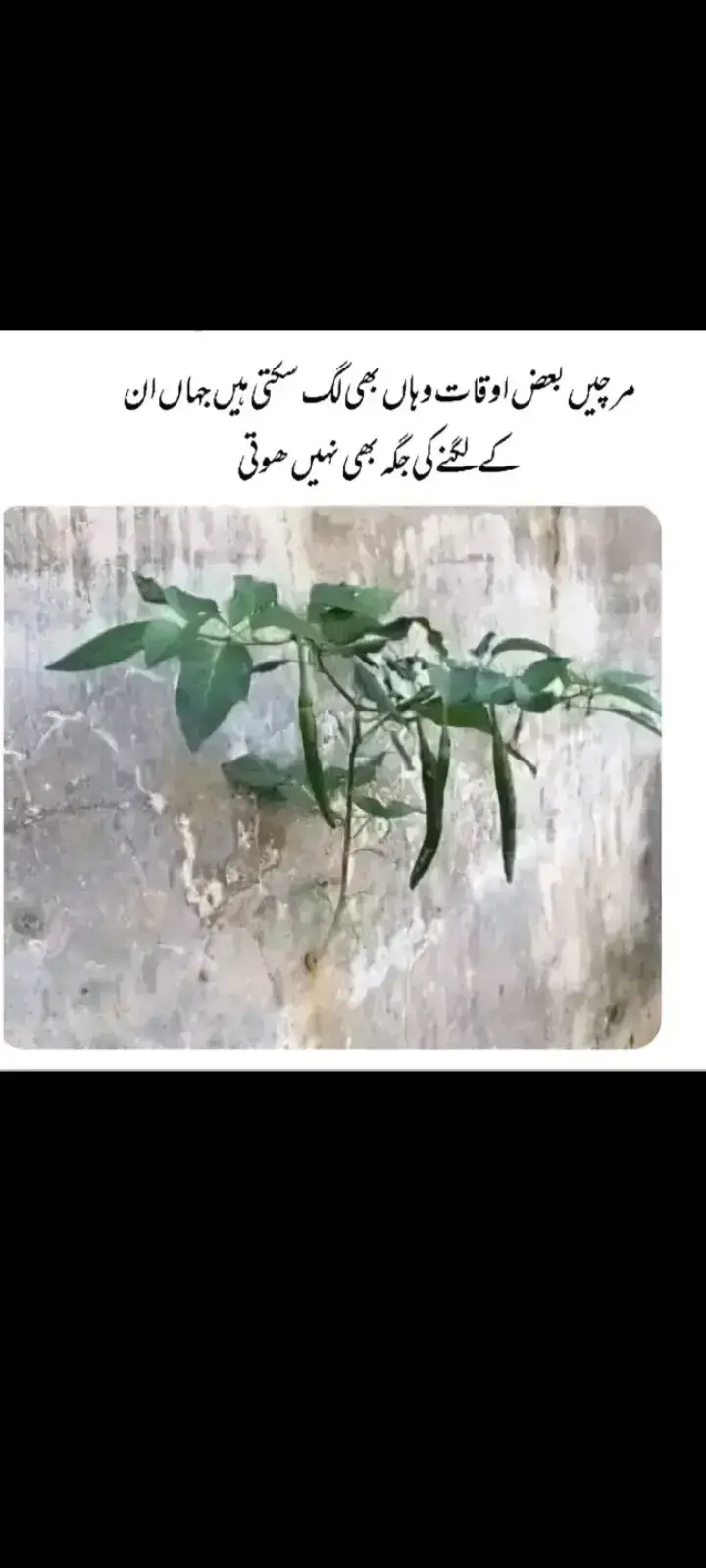 Deep#😓😓 #fyp 