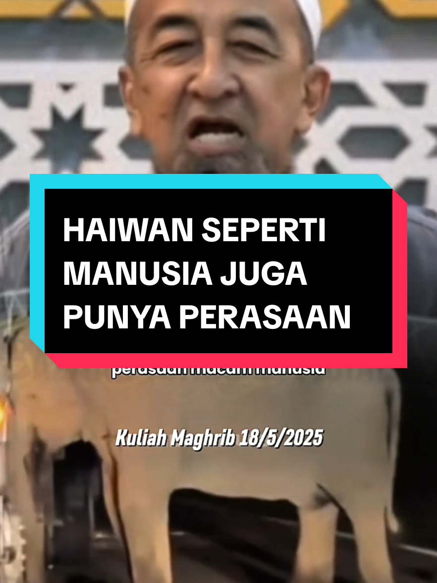 Dengar sampai habis ye ILMU1️⃣👉@ilmi hub  ILMU2️⃣👉@ilmi hub  ILMU3️⃣👉@ilmi hub  #dakwahtiktok #ilmuagama #ceramahislam #ustazazharidrus 