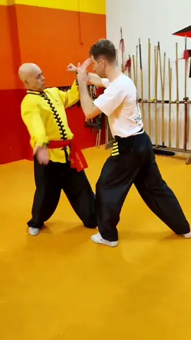 #tskf #kungfu #wushu #artemarcial #artesmarciais #defesapessoal #shaolin #chikung