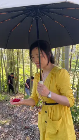 老家的快乐真的太多了，有野草莓还可以挖笋，天气也很好！There are so many joys in my hometown. There are raspberry and I can dig bamboo shoots. The weather is also very nice!