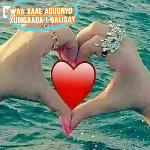 #harreedbashir 
