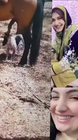 Funny videos pranks 😄🤣#funnyvideos #foryoupage #funnytiktok #laughingvideo #funnyvideoreaction2 