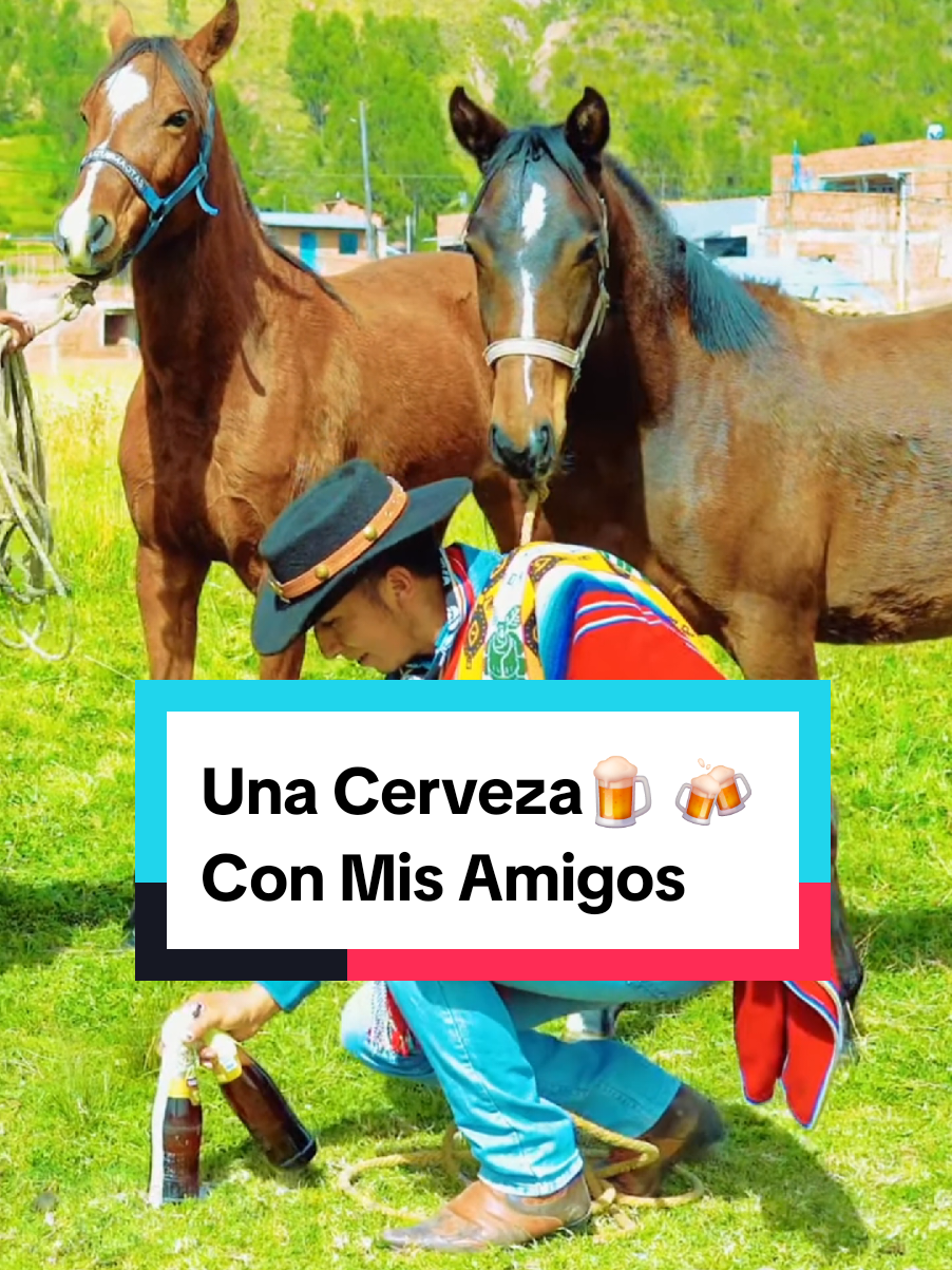 Caballo castaño no relinches, no te apresures caballito...🎶🐎🏇 #musicaandina  #musicacaneña  #caballos  #caballosbailadores  #caballostiktok  #jaranatiktok  #vida  #publicidad  #marketingdigital  #juanarqarm  #videoviral  #sigueme_para_mas_videos_asi 