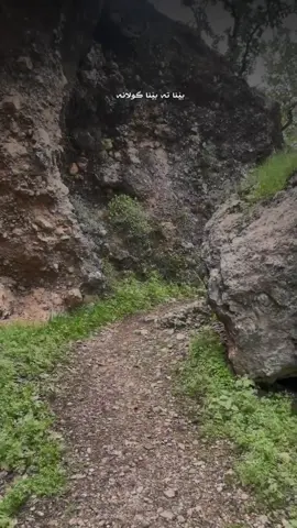 Bêna Te Bêna Gulla Na😍♥️💐; #kurdistan#wallatzheri#barzan#stranakurdi#xece#fypviralシ #viral#natural🏞️