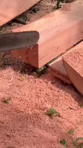#chainsawskills #carpentry #stihlms070 #wood #hardwood #chainsawmill #lumberjack #treecut #sawmill #board #chainsaw 