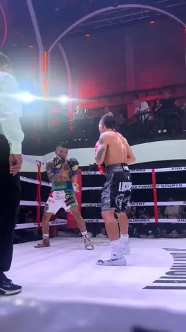 FORLAN VS MIKETYSON #forlanrivaldo #miketyson #hsnbali #hss #parispernandes 