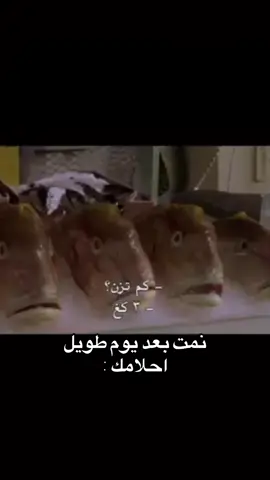 #fyp #foryou #fypage #fyppppppppppppppppppppppp #tiktok #viral #foryoupage #explorepage #fypシ゚viral🖤tiktok #explore #trending #توني_سوبرانو #ميمز #memes