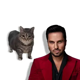 Артур Пирожков - Само собой, but it's Oiiai Cat Remix (uiiai) w/@dayblo #mashup #remix #cat #артурпирожков #александрревва #самособой #uia #oiiaiiooiiai @Александр Ревва 