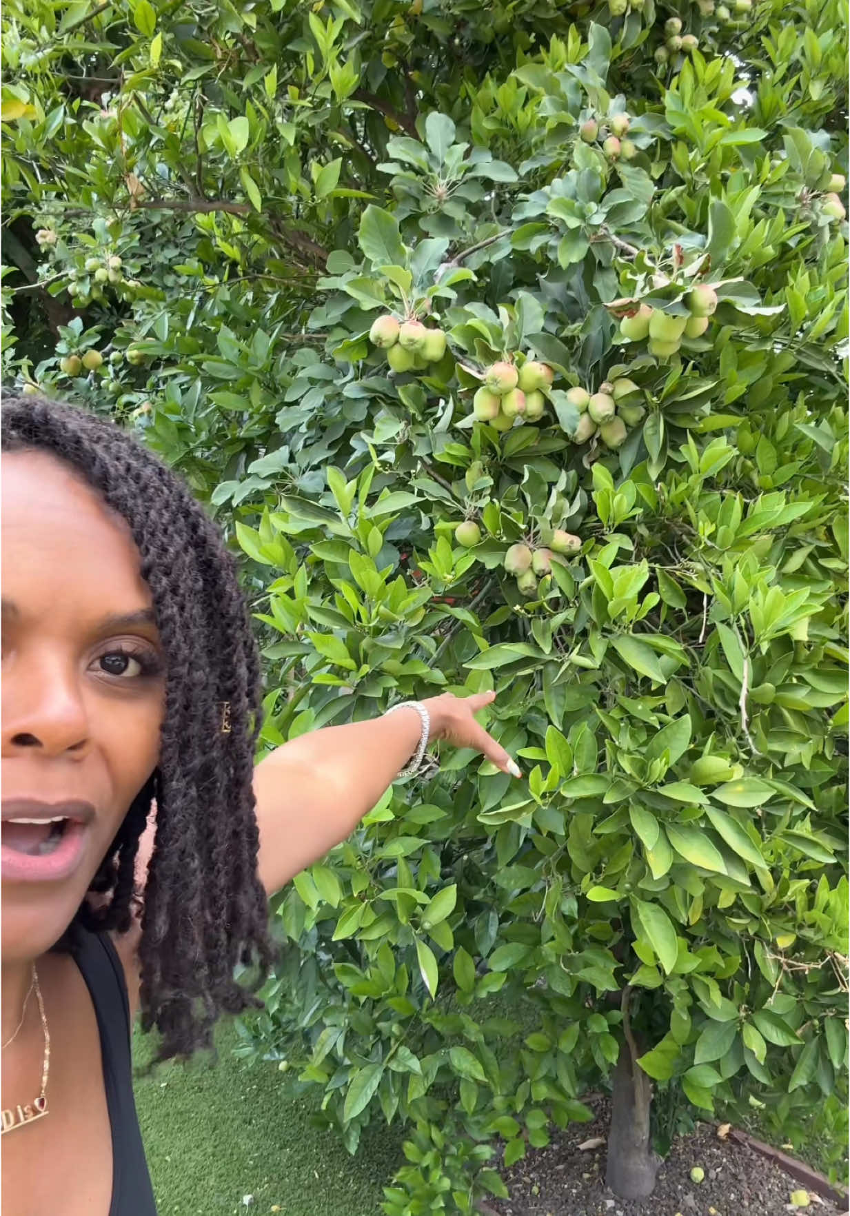 Sunday Morning TSA from the book of Bonita and Genesis:  You’ve supported them for so long that you’ve become unrecognizable baby🥹 My GOD!!!!!  Listen I know we don’t like long  videos anymore, but I promise this entire message is going to bless somebody!!!!! 🙌🏾 OOHHHH GOD I THANK YOU🙌🏾. Somebody look at your neighbor and say: it’s time to cut em off so you can carry your own fruit!!!!! #tabithabrown #spreadlove #motivation #inspiration #trees #talkingtrees