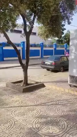 #شروخانــالمغرب 