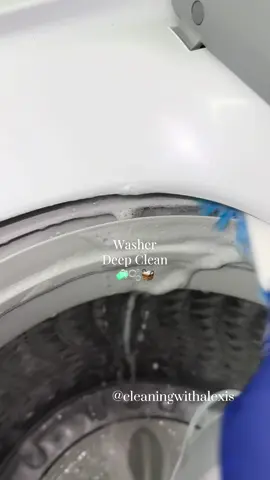 ENJOY!💕COLLAB with THE BESTIE @Ashlyn Manghane didn’t love the combo but I’m trying to make myself like it lol 😂 maybe with some pinesol or lavender fab. 🤷🏽‍♀️ Hope yall had a great weekend! 🫶🏽 #washer #deepclean #deepcleaning #sudsy #sudsycleaning #sponge #soap #laundry #asmrcleaning #cleaningasmr #asmrsatisfying #asmrsounds #scrubbingasmr #cleanwithme #cleaninghacks #cleaningmotivation {12:35pm} @fried eye 