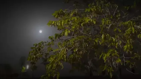 ﴿ يُدَبِّرُ الْأَمْرَ مِنَ السَّمَاءِ إِلَى الْأَرْضِ ﴾ - #قرآن #راحة_نفسية #اجر_لي_ولكم #اعادة_النشر🔃 #اكسبلور 🪧 .
