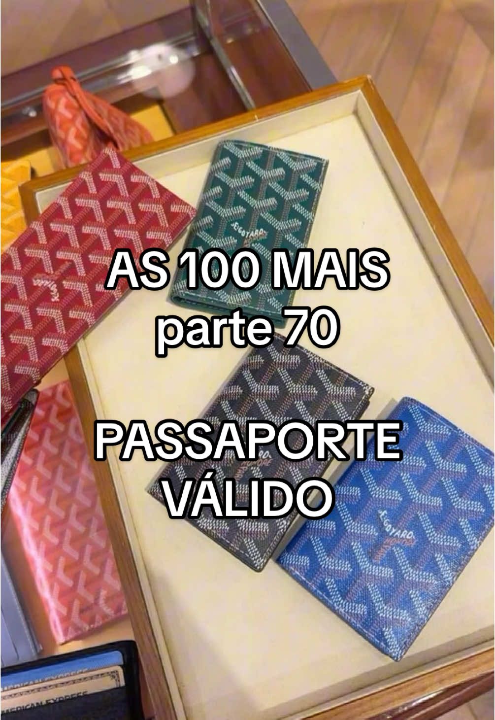 o item indispensável para qualquer viagem! #passaporte #ninagarcia #as100mais 