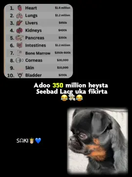 Taajir qarsoon baa tahay💸😂#ՏᗩKI🤴🏻💙 #สโลว์สมูท #😂😂😂 #foryoupage❤️❤️ #viral #CapCut #fyp #viewsproblem #copylink #copylink #สโลว์สมูท #CapCut 
