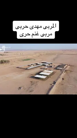 #مهدى_الحربى #مربى_غنم_حربى #تربية_الاغنام_والماعز #مشروع_تربية_الاغنام 