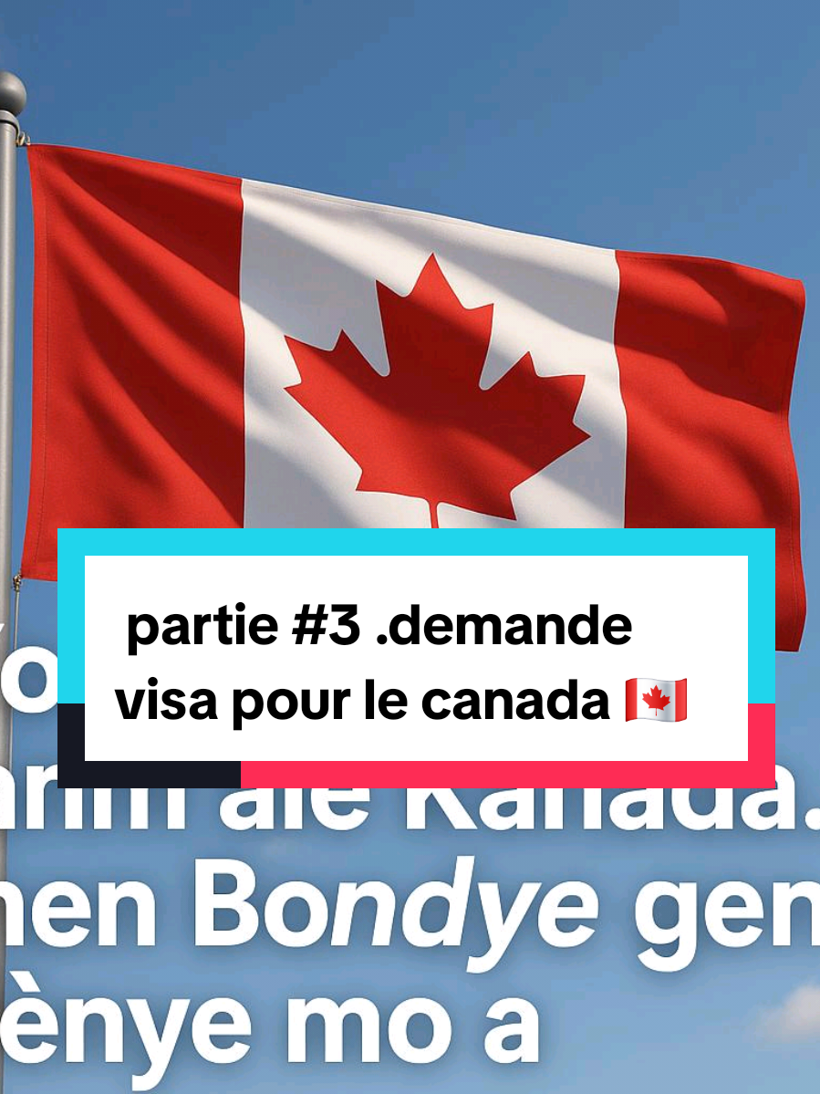 partie # 3 .demande visa visiteur pour le canada.  #immigration #visacanada🇨🇦 #immigration #canada_life🇨🇦 #canada🇨🇦 #montreal #montrealcanadiens #quebec 