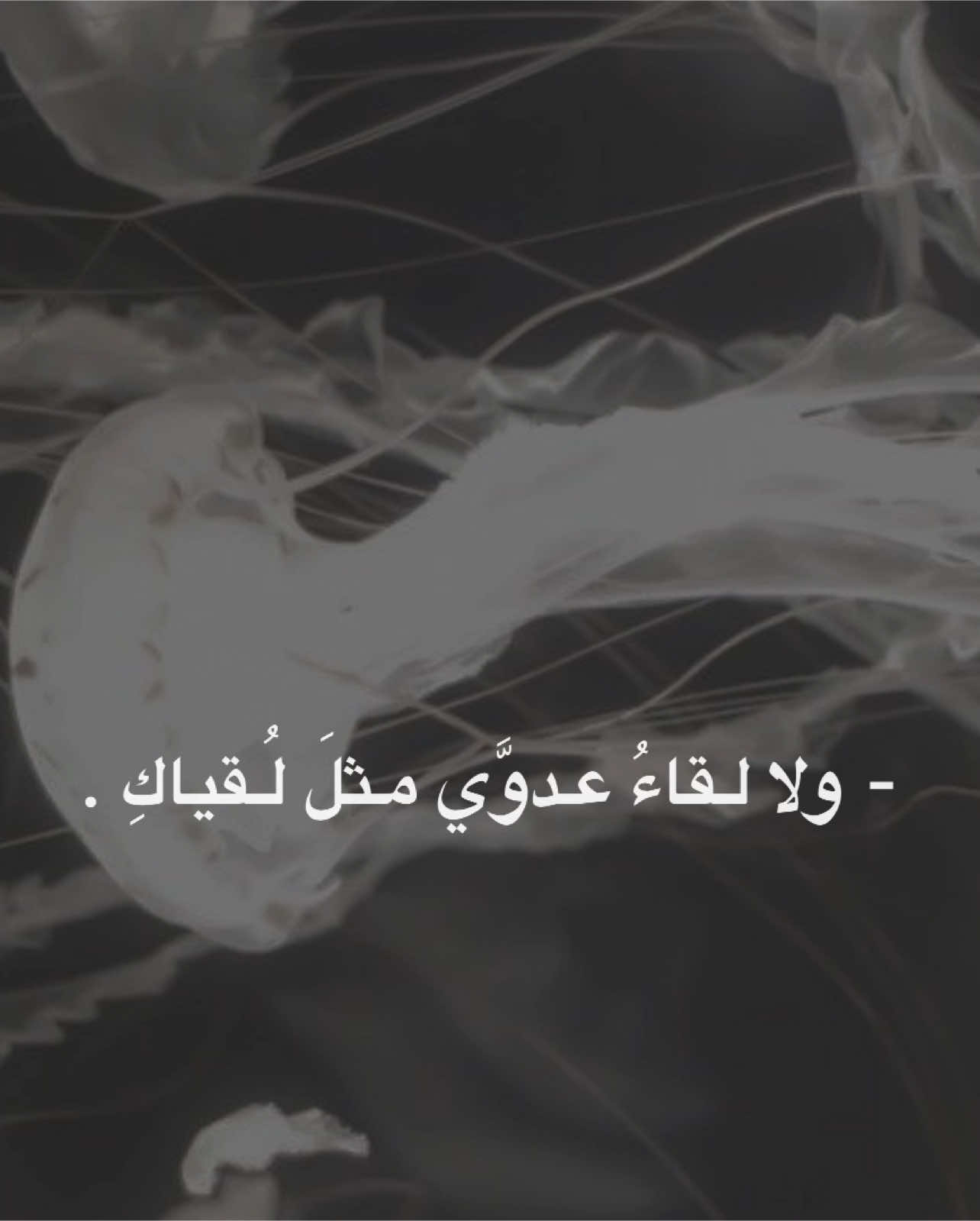 جزء 153 | لا السيف يفعل بيا ما إنتي فاعلة ، #اشعار #شعر #اقتباسات #بدون_موسيقي #explore #fyp #عبدالرحمن_محمد 