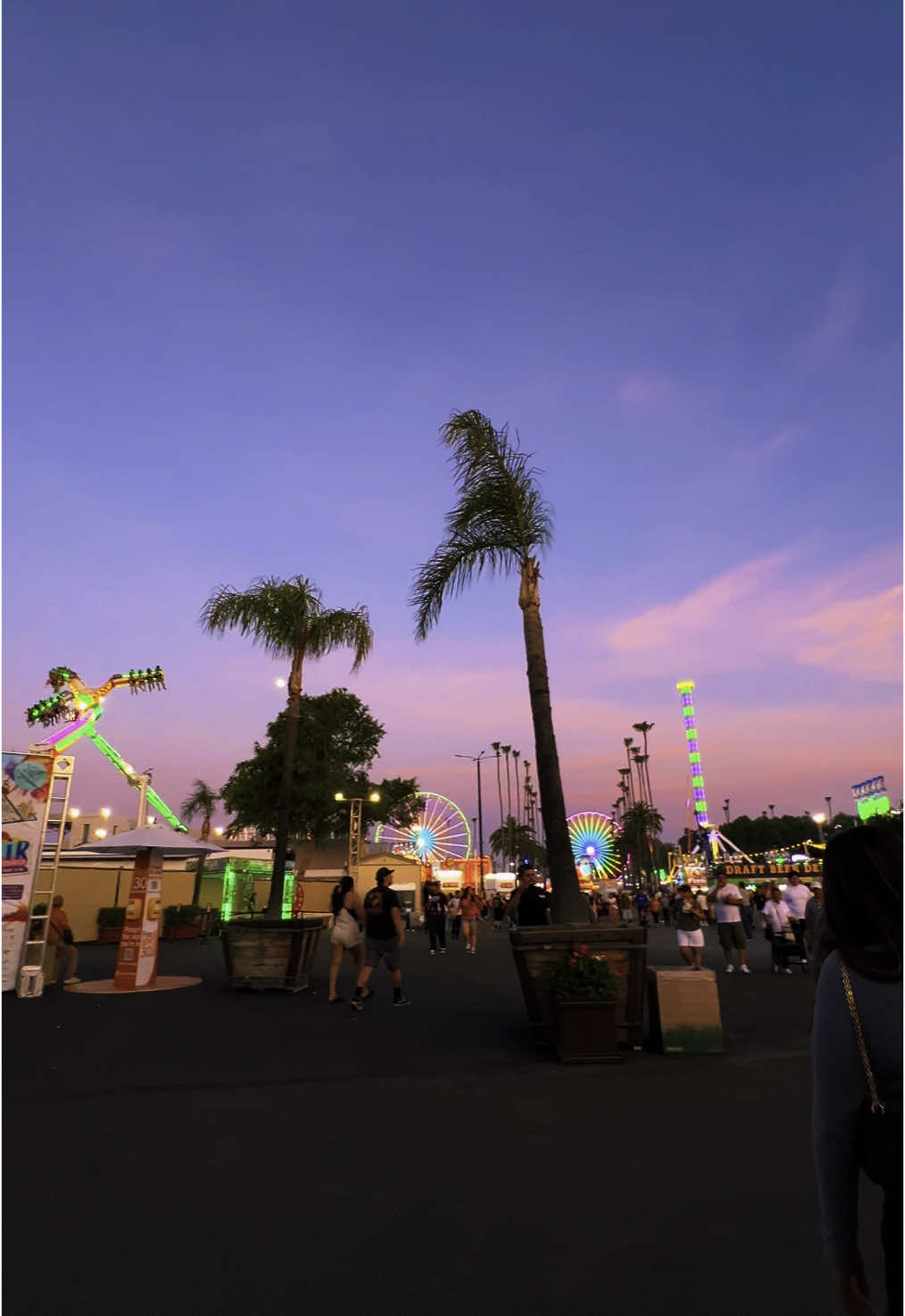Fair season シ🎟️🎡 ✨ #summer2025 #summervibes #fairaesthetic #lacountyfair #carnivalrides #sunsetvibes #carnival #fairlights #fairseason #rides #pomona #funrides #ferriswheel #carnivallights #pinksunset #sunsetaesthetic #tumblrgirls #editaudio 
