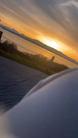 🎶🖤