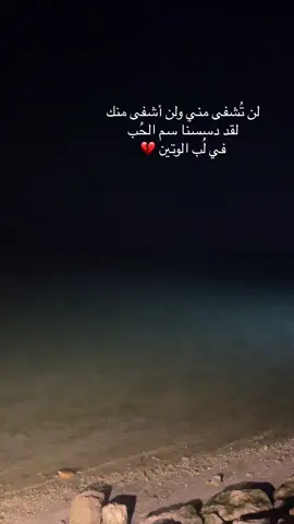#الخبر #تصويري #عاشقة_الخيل 