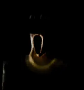 Couldn’t shake that feeling late at night, that feeling when you know something’s following you. #horrortok #horror #scary #shortstory 