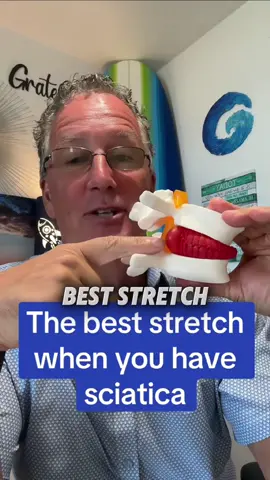 Click on the link in the bio for more info about our program and exercise exercises for back pain and herniated discs. #herniateddisc #backpain #foryou #sciatica #herniateddiscs #usa 