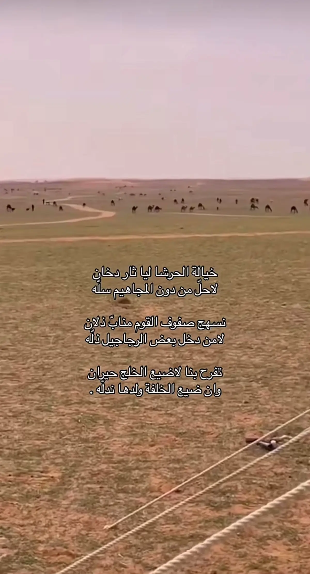 #صدى_الدواسر 