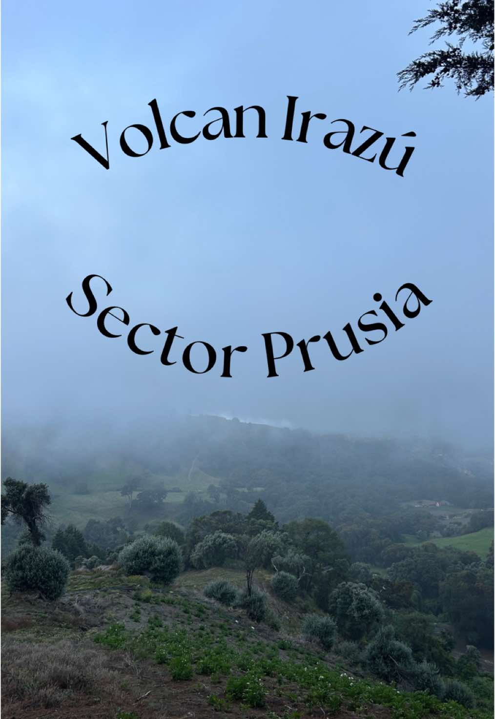 Día en el Parque Nacional Volcán Irazú - Sector Prusia 🪾🌲🍄‍🟫 #volcanes #costarica🇨🇷 #senderismo  #naturalezaporelmundo 