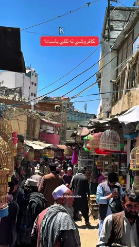د مرغانو چغار 🌸 #afghanistan #وطن #افغانستان #afghanistan🇦🇫 #کابلی #foruyou #kabul #افغانی_تیک_تاک #afg #afghanboy #foryoupage❤️❤️ #کابل_افغانستان_ #کابل_جان #🇦🇫 #watan #kabuljan 