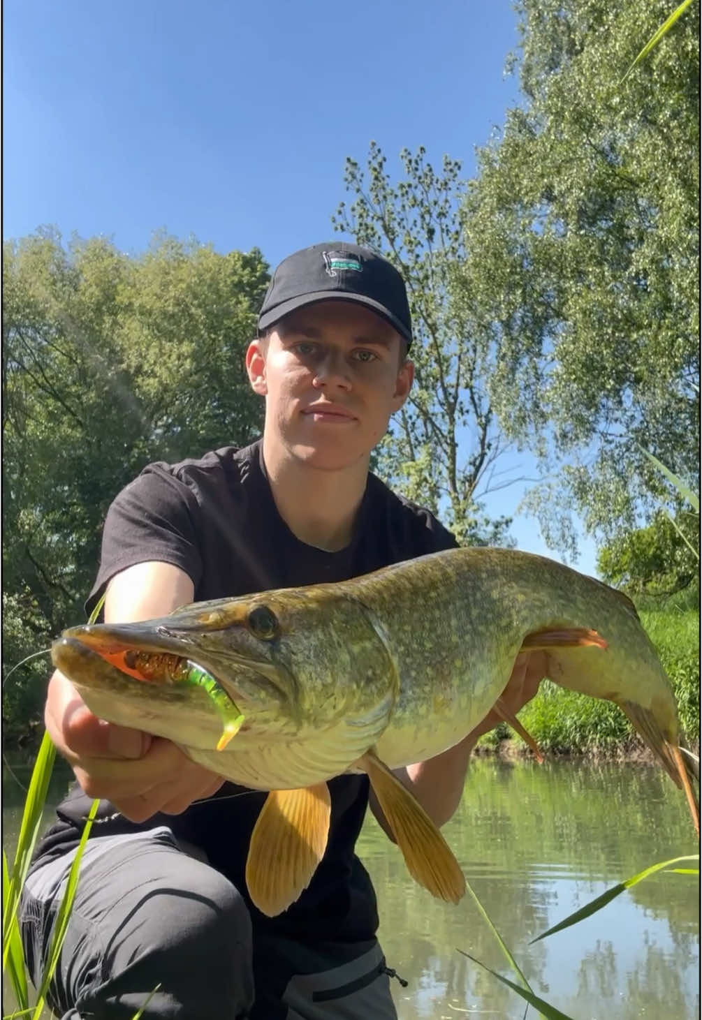 So schnell kann’s gehen. Schöner Hecht auf den Pershad von @Zite Fishing 