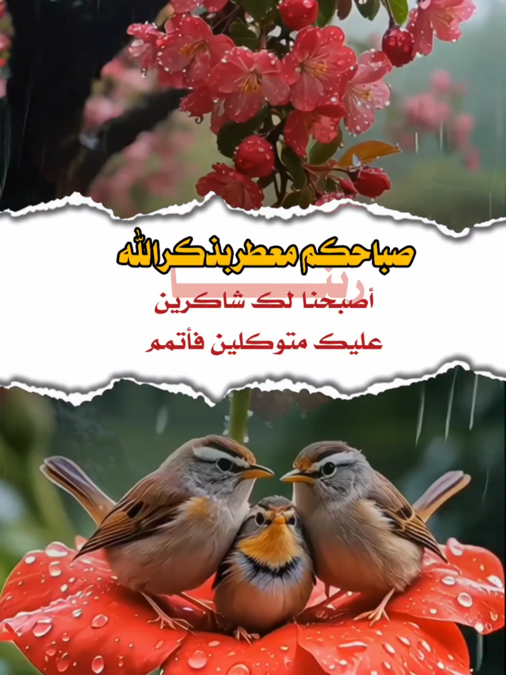 أصبحنا وأصبح الملك لله رب العالمين# #اكسبلور #دعاء #صباحكم_معطر_بذكر_الله #صباح_الخير #صباحكم_سعادهـ #اصبحنا_واصبح_الملك_لله_والحمد_لله #اذكار_المسلم #سبحان_الله_وبحمده_سبحان_الله_العظيم #صباحكم_معطر_بذكر_الله #اللهم_صلي_على_نبينا_محمد#اكسبلورexplore #تصاميم_ghym3377 #استغفرالله #اكتب_شي_توجر_عليه# 
