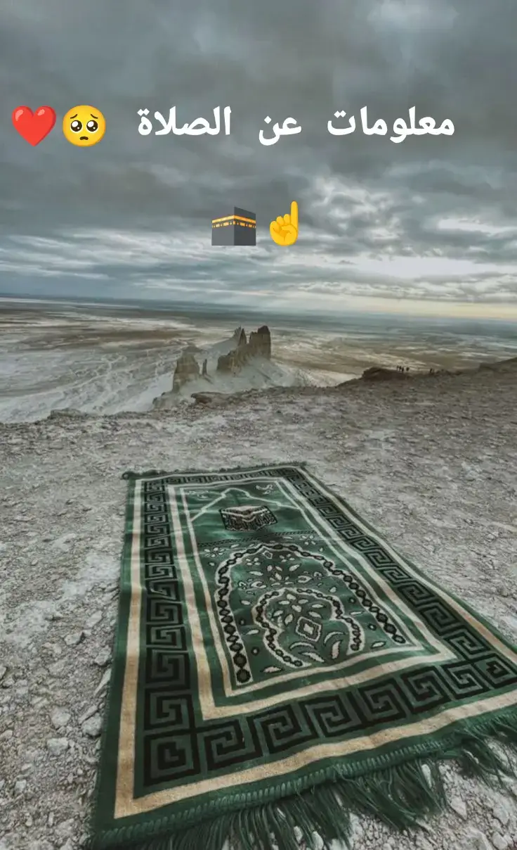 #قولو_امين 