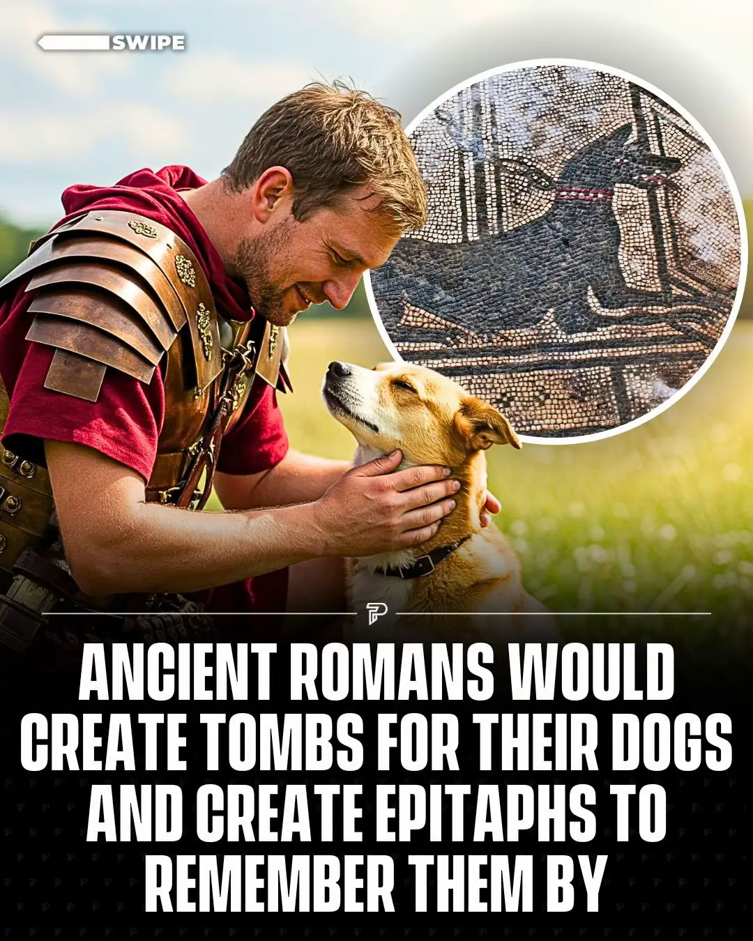 Ancient Romans often honored their dogs with heartfelt tomb inscriptions, though the authors remain unknown.  #RoadTo18M #Pubity 