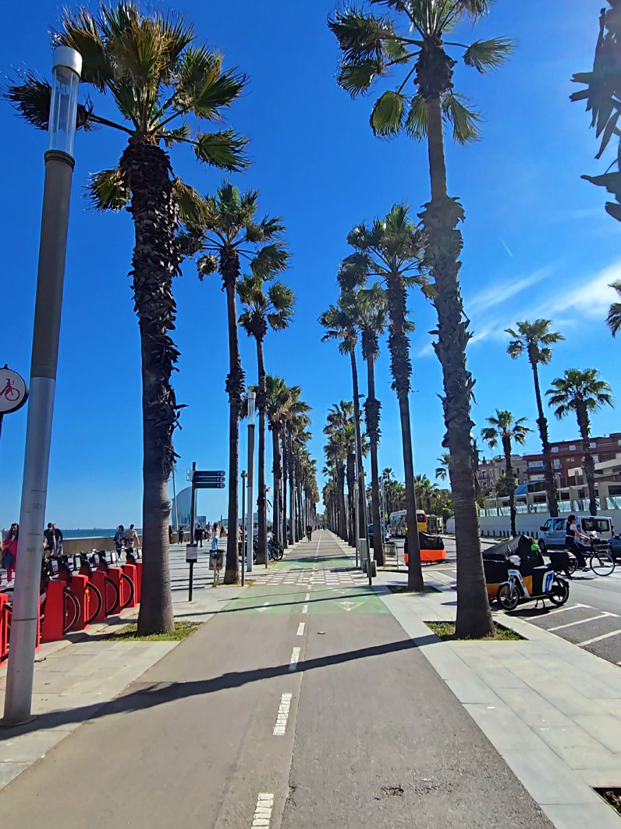 🚲🌴☀️ #spain #barcelona #travel #sea #sun 