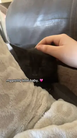 his names trico (last guardian reference) ;; my little baby 🤭 ;; #catsoftiktok #cat #kitten #mybaby #prettylittlebaby #baby #9weeks #tricolastguardian #trico #trend #fyp #foryoupage #fyyy #viral #viralvideotiktok 