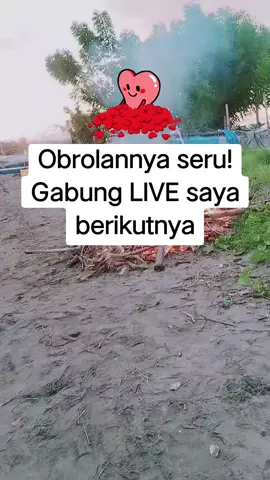 Membagikan momen ini saat obrolan makin seru. Gabung LIVE kami berikutnya! #tiktoklive #livehighlights #tiktoklive 
