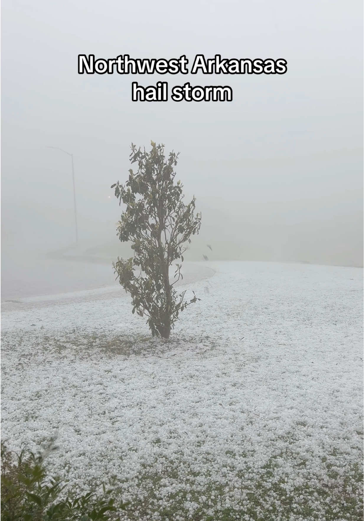 Northwest Arkansas hail storm #NWA #hail #northwestarkansas #weather