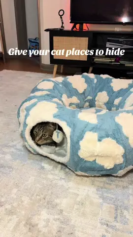 Cats feel safest when they have places to hide. This tunnel bed is a favorite in our house and it’s actually so cute #catproducts #catsoftiktok #catbed 