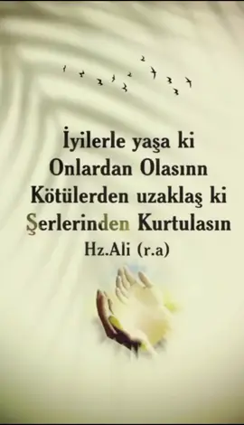 #hzali♥️ 