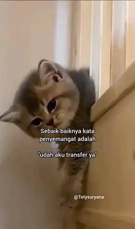semangat pagi