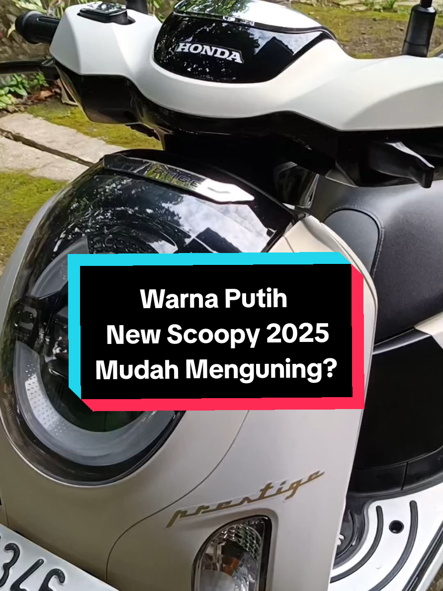 Membalas @evhaaa91 kak, warna putihnya itu memang begitu, ini udah sy perhatikan dari motor datang, sebelumnya sudah pernah sy buat VTnya juga, warna putihnya itu memang ada semu semu kuningnya (gold kalo kata saya), jadi bukan karena perubahan warna saat dirumah. #scoopy #scoopymodifikasi #scoopyprestige #scoopyindonesia #scoopypropperindonesia #fyp #foryou 