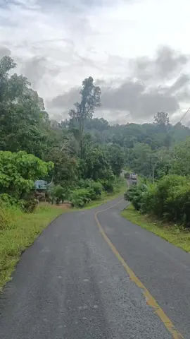 #fypシ゚viral                                          #jalan manuju muara teweh               #kalimantan tegah 