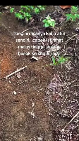 #petanimudamilenial 